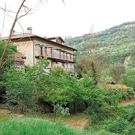 Barbaia Levice