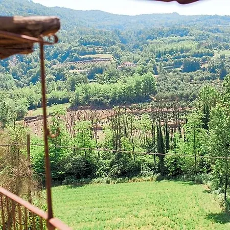 Barbaia Levice