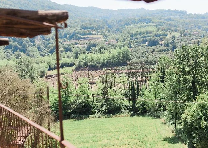 Barbaia 3* Levice