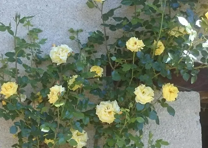 Barbaia Bed & Breakfast