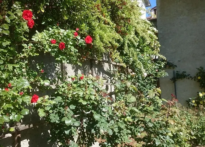 Barbaia Bed & Breakfast